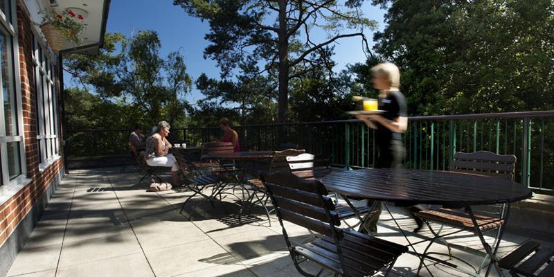 The Lodge At Meyrick Park Bournemouth Zewnętrze zdjęcie